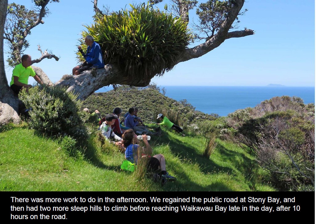 coro201523.jpg (298329 bytes)